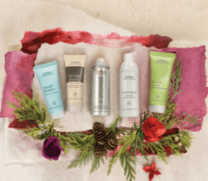 Aveda Holiday Gift Set